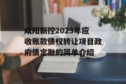 咸阳新控2023年应收账款债权转让项目政府债定融的简单介绍