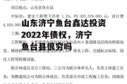 山东济宁鱼台鑫达投资2022年债权，济宁鱼台县很穷吗