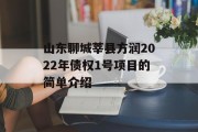 山东聊城莘县方润2022年债权1号项目的简单介绍