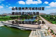 山东德州齐河城市经营建设投资2022年债权01/02号，德州齐河住宅与房地产信息