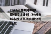 2023年林州市城投债权转让计划（林州市城市投资集团有限公司简介）