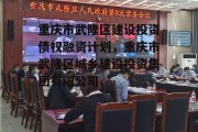 重庆市武隆区建设投资债权融资计划，重庆市武隆区城乡建设投资集团有限公司