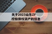 关于2023山东ZF控股债权资产的信息