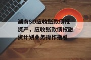 湖南SD应收账款债权资产，应收账款债权融资计划业务操作指引