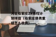 河北石家庄ZX债权计划项目（石家庄债务重组怎么收费）