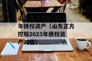 山东正方控股2023年债权资产（山东正方控股2023年债权资产减值）