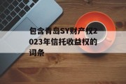 包含青岛SY财产权2023年信托收益权的词条