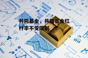 共同基金，共同基金杠杆率不受限制