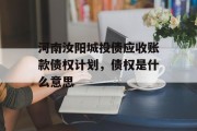 河南汝阳城投债应收账款债权计划，债权是什么意思