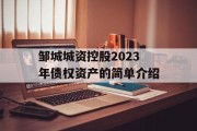 邹城城资控股2023年债权资产的简单介绍