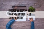 陕西西安泾河产发投资2023融资项目（泾河置业集团）