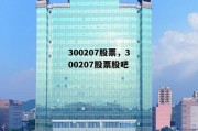 300207股票，300207股票股吧