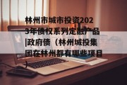 林州市城市投资2023年债权系列定融产品|政府债（林州城投集团在林州都有哪些项目）