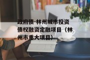 政府债-林州城市投资债权融资定融项目（林州市重大项目）