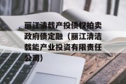 丽江清载产投债权拍卖政府债定融（丽江清洁载能产业投资有限责任公司）