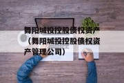 舞阳城投控股债权资产（舞阳城投控股债权资产管理公司）