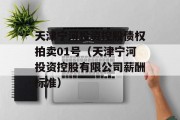 天津宁河投资控股债权拍卖01号（天津宁河投资控股有限公司薪酬标准）