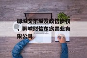 聊城安东城发政信债权，聊城财信东宸置业有限公司