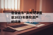 包含山东*滨州菏泽置业2023年债权资产的词条