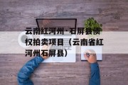 云南红河州·石屏县债权拍卖项目（云南省红河州石屏县）