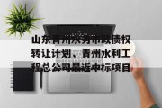 山东青州水务市政债权转让计划，青州水利工程总公司最近中标项目