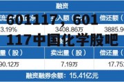 601117，601117中国化学股吧