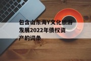 包含山东海Y文化旅游发展2022年债权资产的词条