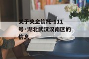 关于央企信托-111号·湖北武汉汉南区的信息