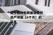 关于四川东同建设债权资产项目【6个月】的信息