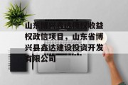 山东博兴鑫达债权收益权政信项目，山东省博兴县鑫达建设投资开发有限公司