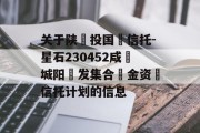 关于陕‮投国‬信托-星石230452咸‮城阳‬发集合‮金资‬信托计划的信息