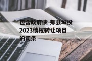 包含政府债-郏县城投2023债权转让项目的词条