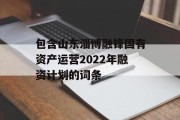 包含山东淄博融锋国有资产运营2022年融资计划的词条