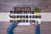 民生信托-1273盐城盐都非标集合资金信托计划的简单介绍