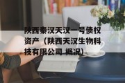 陕西秦汉天汉一号债权资产（陕西天汉生物科技有限公司 概况）