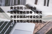 央企信托-182号山东寿光惠农债券（寿光市惠农新农村建设投资开发有限公司评级报告）