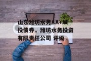 山东潍坊水务AA+城投债券，潍坊水务投资有限责任公司 评级