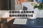 云南信托-山东潍坊地级市标债的简单介绍