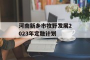 河南新乡市牧野发展2023年定融计划