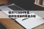 临沂TC2024年首款政信项目的简单介绍