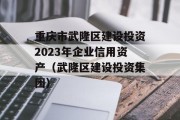 重庆市武隆区建设投资2023年企业信用资产（武隆区建设投资集团）