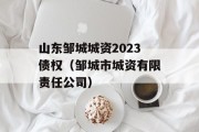 山东邹城城资2023债权（邹城市城资有限责任公司）