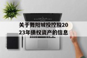 关于舞阳城投控股2023年债权资产的信息