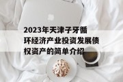 2023年天津子牙循环经济产业投资发展债权资产的简单介绍