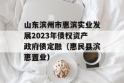 山东滨州市惠滨实业发展2023年债权资产政府债定融（惠民县滨惠置业）