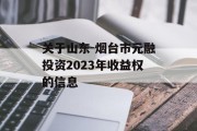 关于山东-烟台市元融投资2023年收益权的信息