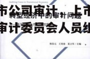 上市公司审计，上市公司审计委员会人员组成