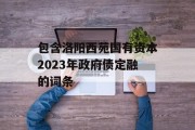 包含洛阳西苑国有资本2023年政府债定融的词条