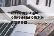 2023年山东硕运城投债权计划城投债定融的简单介绍