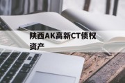 陕西AK高新CT债权资产